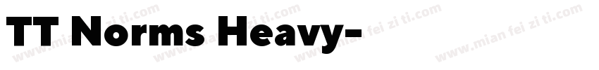 TT Norms Heavy字体转换